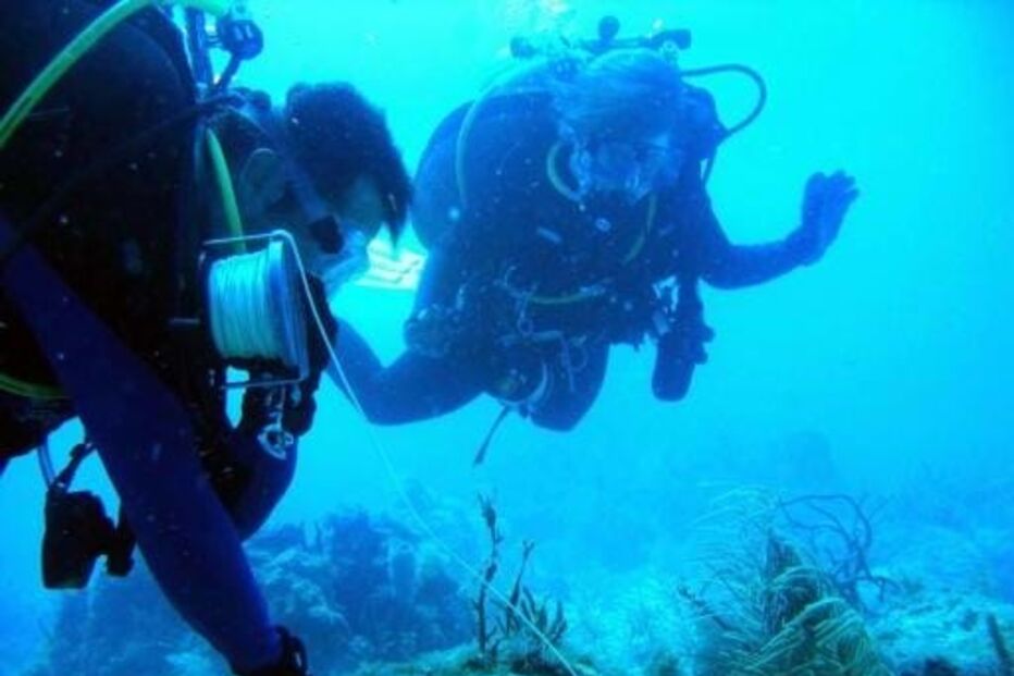 2024-09-07_08_57_10 66780.JPG