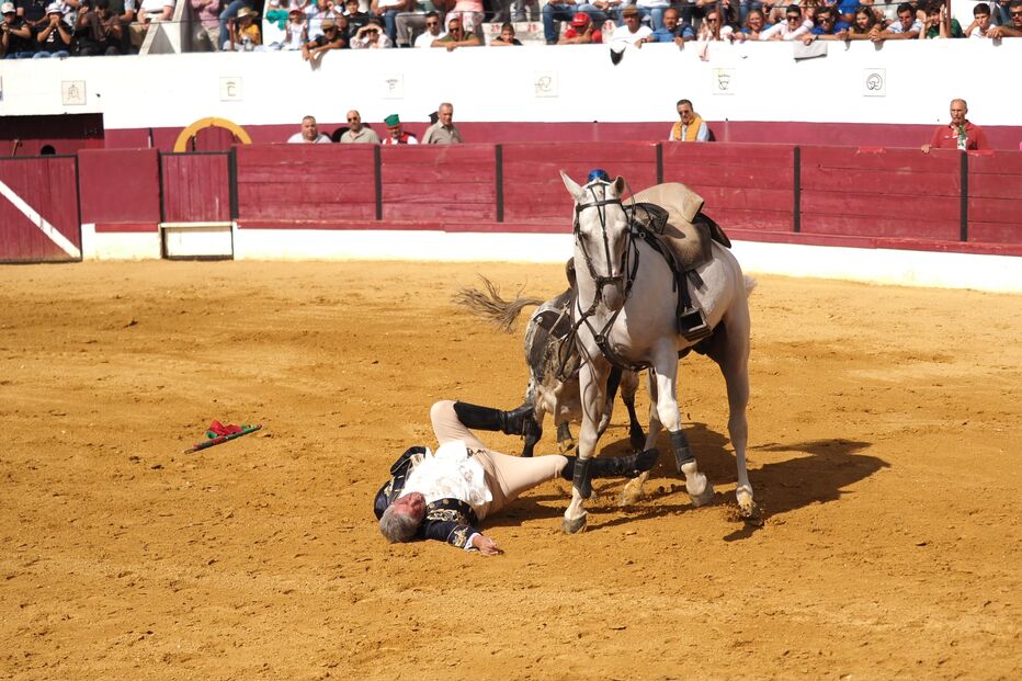 Imagem 52664721.JPG (22372069) (Milenium)