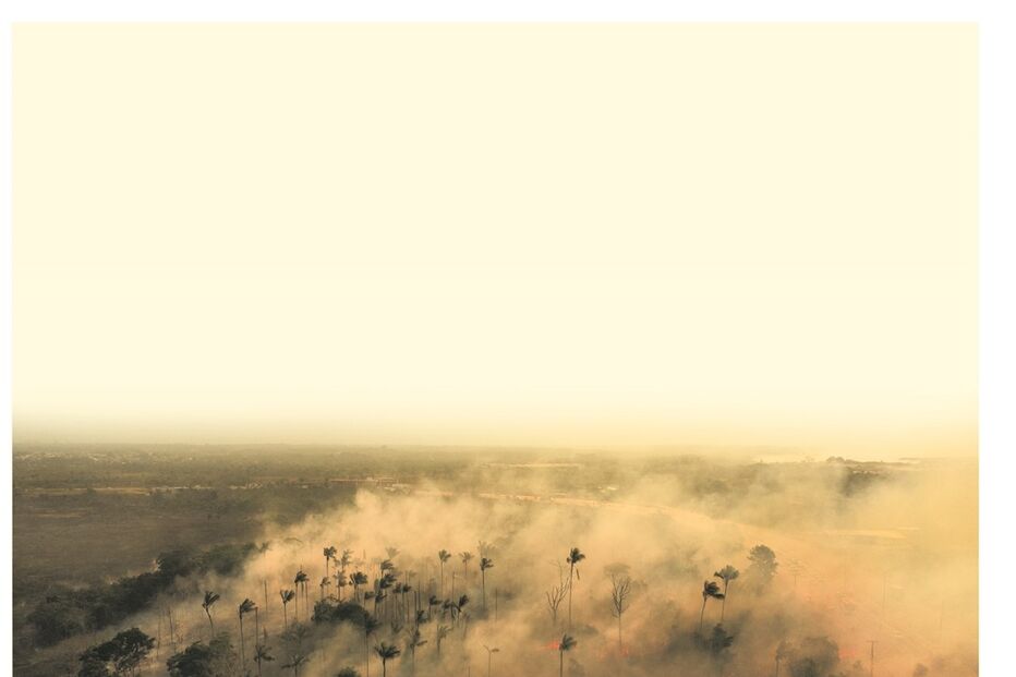 Imagem imagem.jpg (22427316) (Milenium)