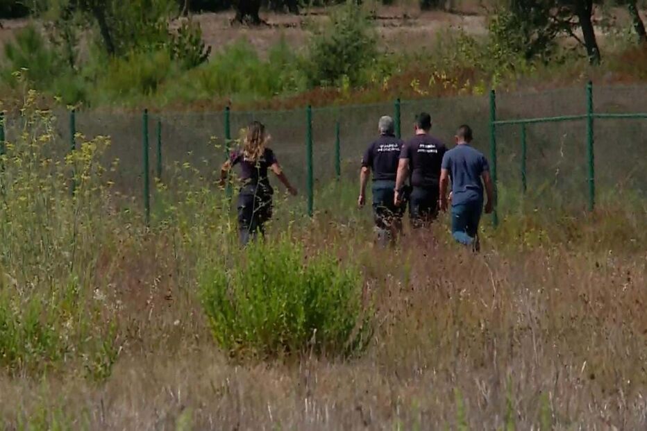 2024-09-14_23_25_52 52677155.JPG