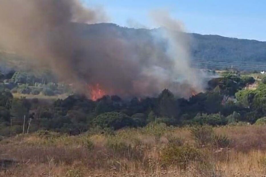 Incêndio em Alcabideche