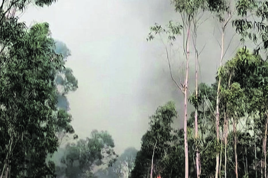 Bombeiros combateram as chamas 