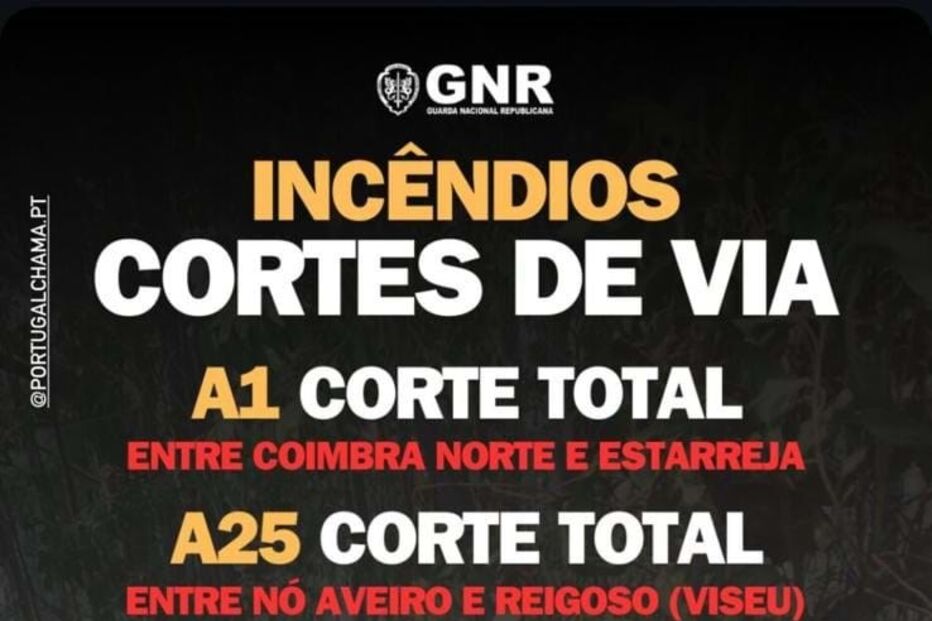 2024-09-16_12_26_29 imgpsh_fullsize_anim (2).jPG