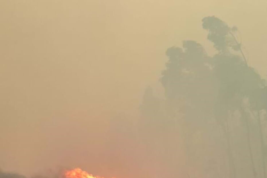 Camião destruído em incêndio em Sever do Vouga
