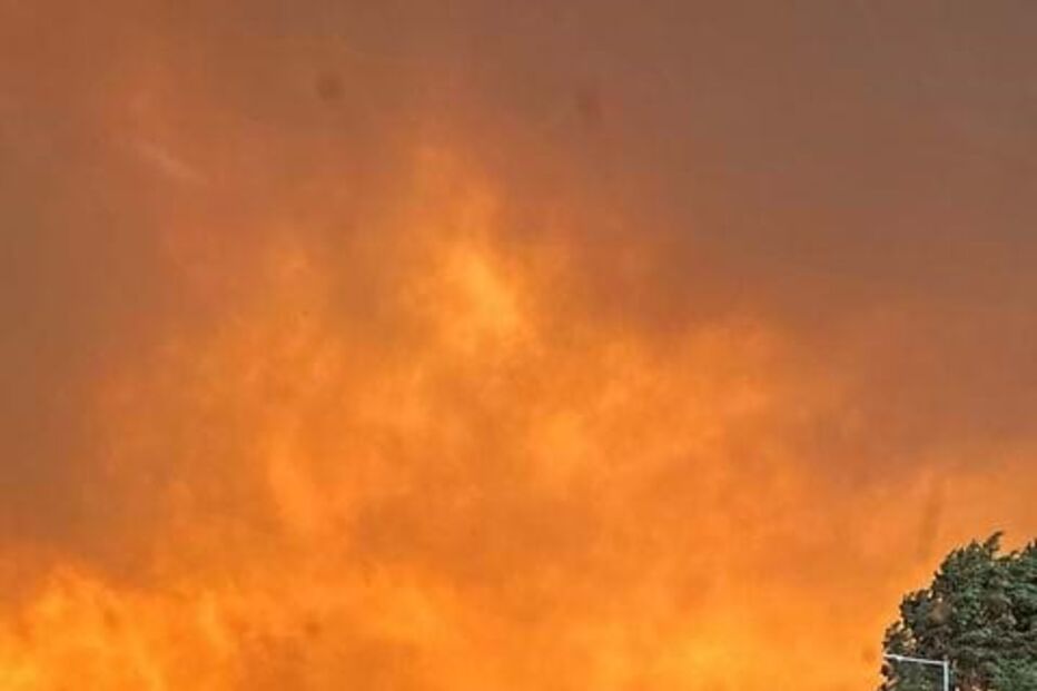 2024-09-16_12_55_09 459997103_18461392219050962_174511598428518273_n.jpg