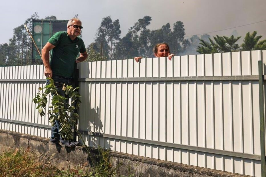 Incêndio em Albergaria-a-Velha