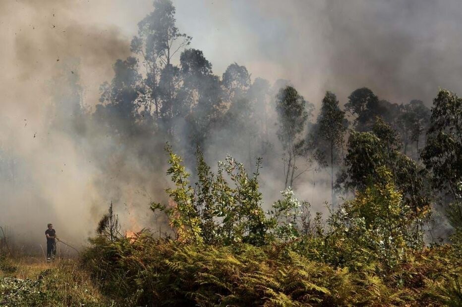 Incêndio em Albergaria-a-Velha