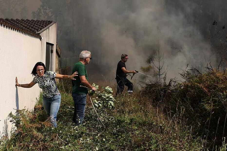 Incêndio em Albergaria-a-Velha