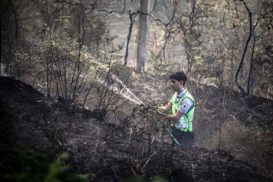 Incêndio em Oliveira de Azeméis