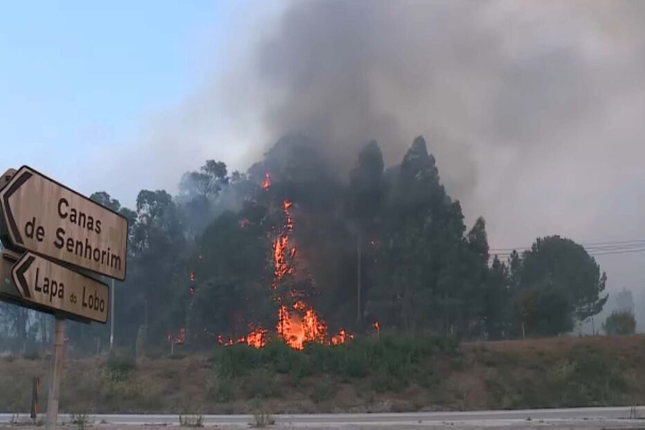 Incêndio em Nelas