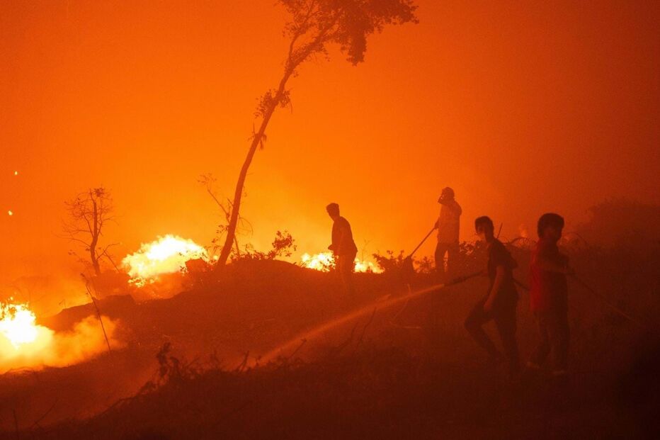 Incêndio deflagrou em Nelas e alastrou até Oliveirinha