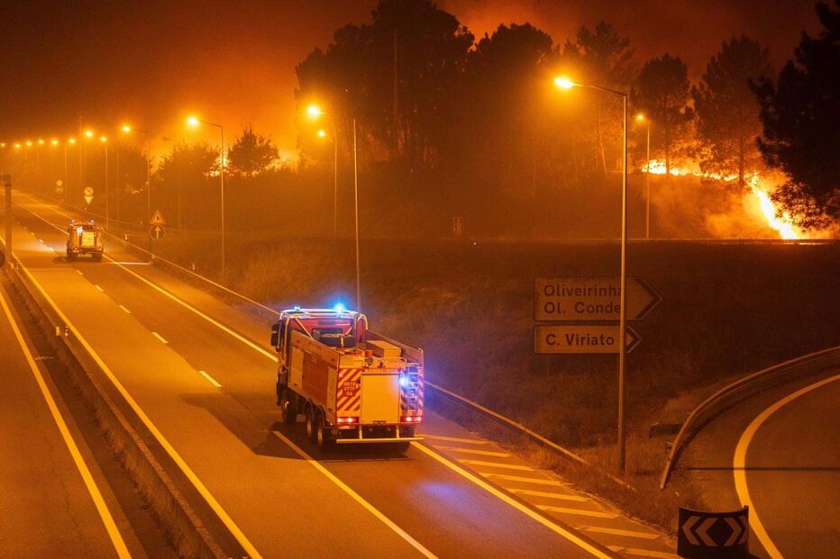 Incêndio deflagrou em Nelas e alastrou até Oliveirinha