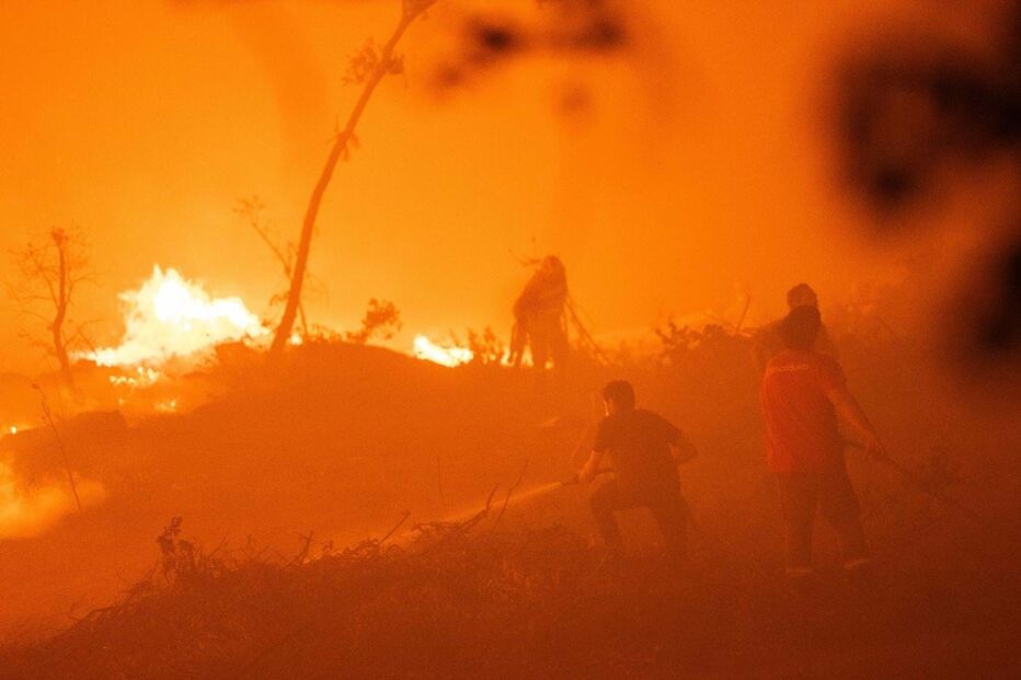Incêndio deflagrou em Nelas e alastrou até Oliveirinha