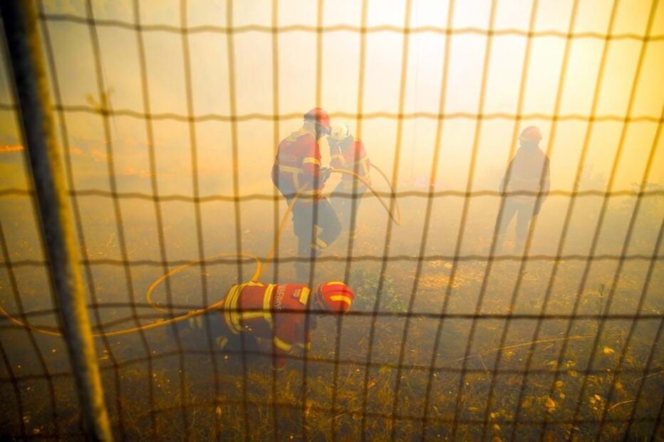 2024-09-17_14_59_41 52755414.jpg