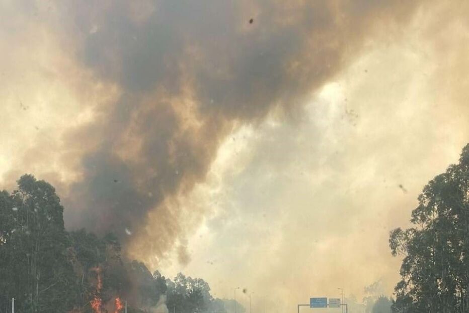 2024-09-17_15_45_47 WhatsApp Image 2024-09-17 at 15.42.33 (1).jpg