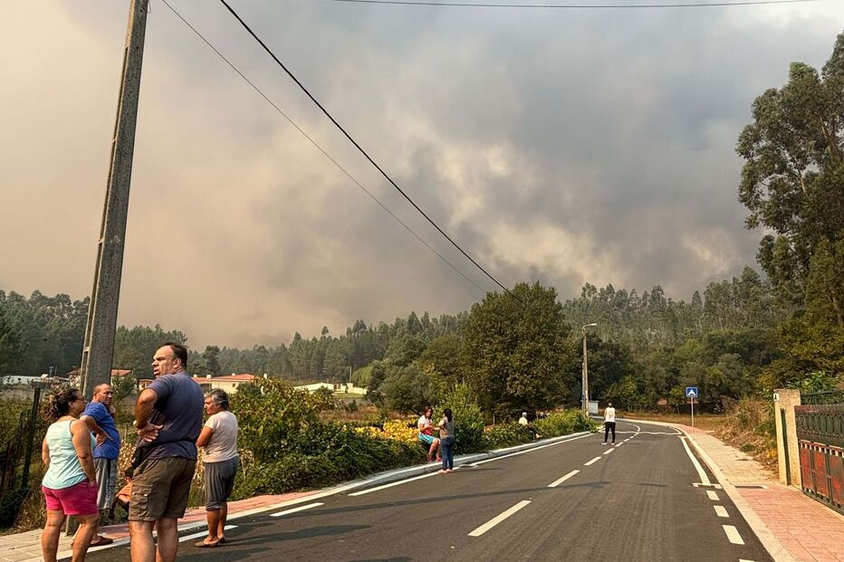 2024-09-17_15_52_15 cd72eeae-bcc9-42b3-80fd-749f05b4dc33 (1).jpg