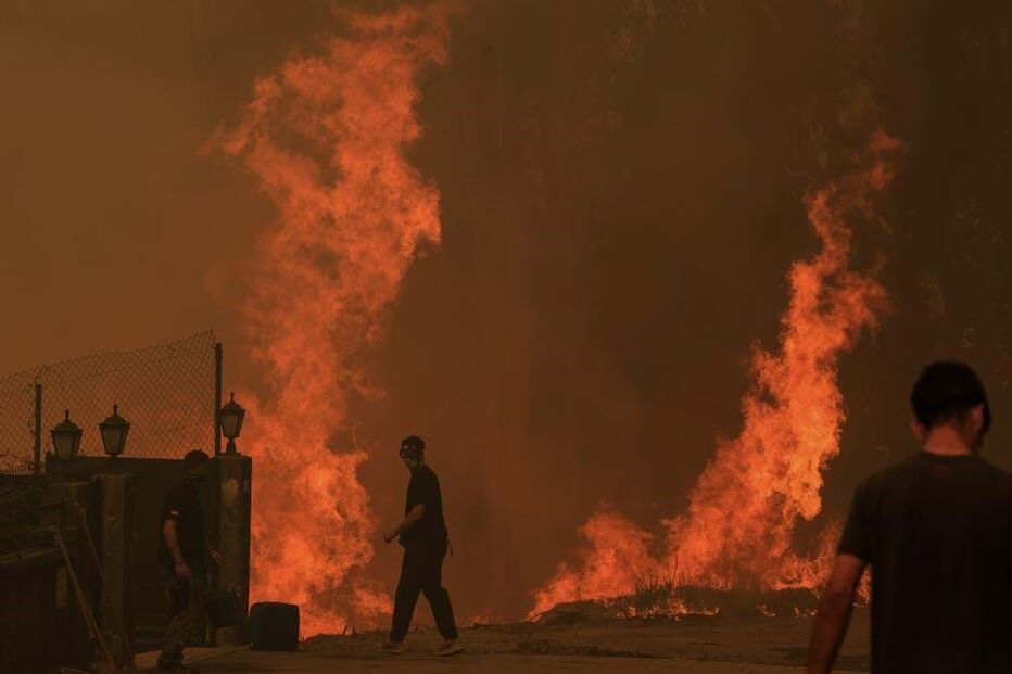 Incêndios têm assolado distrito de Aveiro