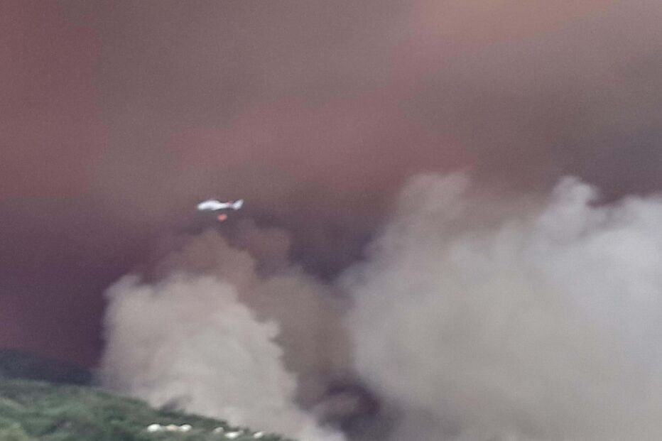 2024-09-17_20_30_16 4439321e-86c2-4dce-af64-0a8c65c1d189 (1).jpg