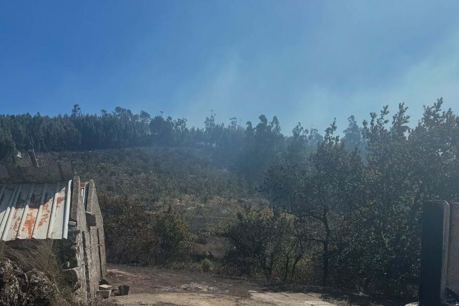 2024-09-18_15_53_26 Snapinsta.app_460218113_1059556699510846_7211601462827462224_n_1080.jpg