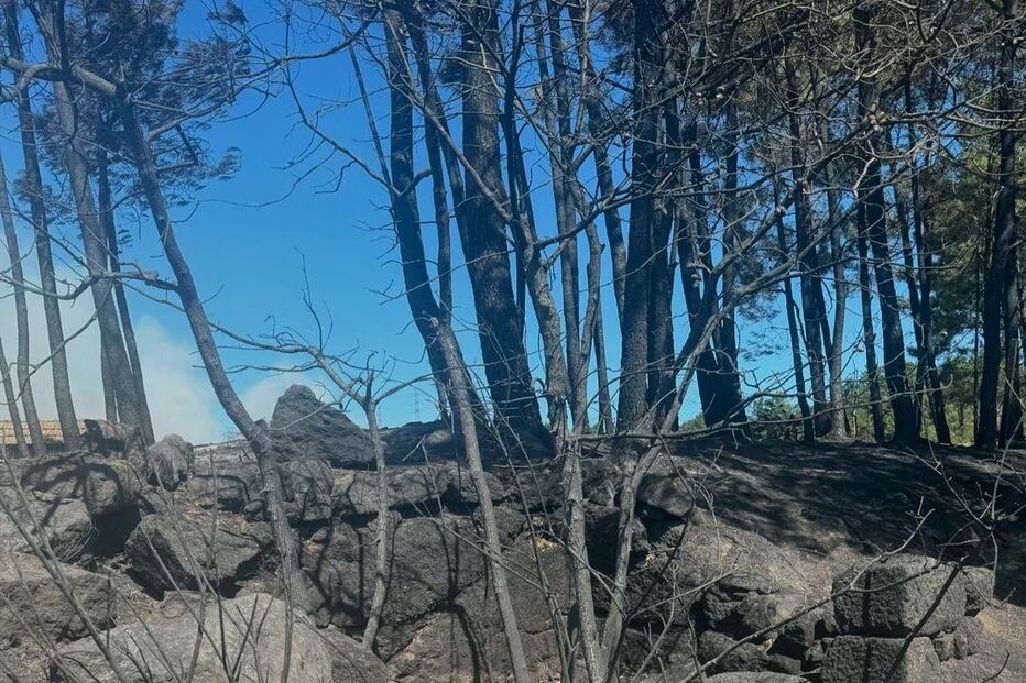 2024-09-18_15_53_27 Snapinsta.app_460295363_1425401598135725_4660553974249319274_n_1080.jpg