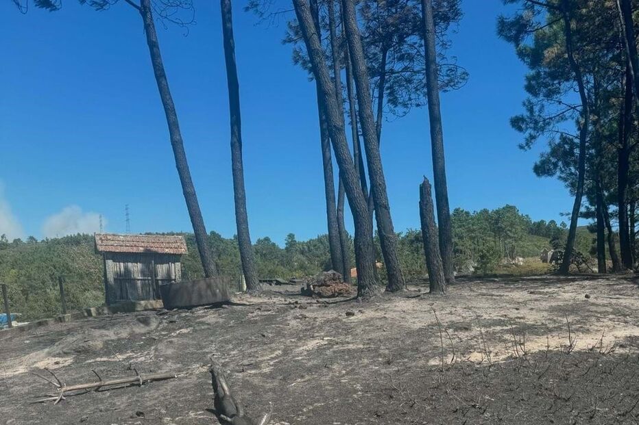 2024-09-18_15_53_28 Snapinsta.app_460249587_501709149330301_5140460600144046685_n_1080.jpg