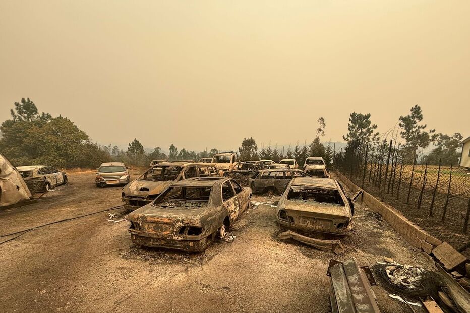 2024-09-18_15_58_49 WhatsApp Image 2024-09-18 at 15.48.17 (1).jpg