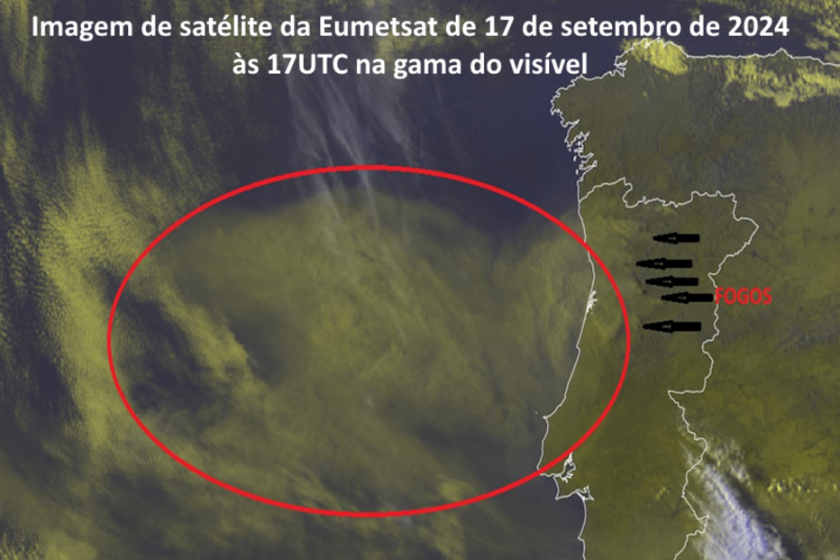 Imagem de satélite mostra plumas dos incêndios sobre o oceano Atlântico 