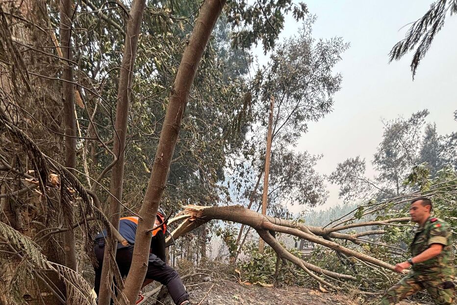 Forças Armadas reforçam meios nos incêndios