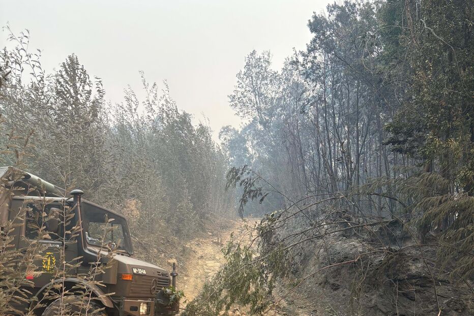 Forças Armadas reforçam meios nos incêndios