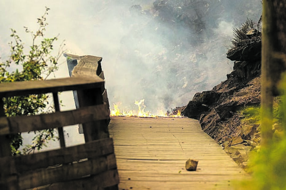 Tragédia dos incêndios