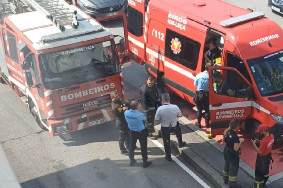 2024-09-20_15_01_31 imgpsh_fullsize_anim.jpg