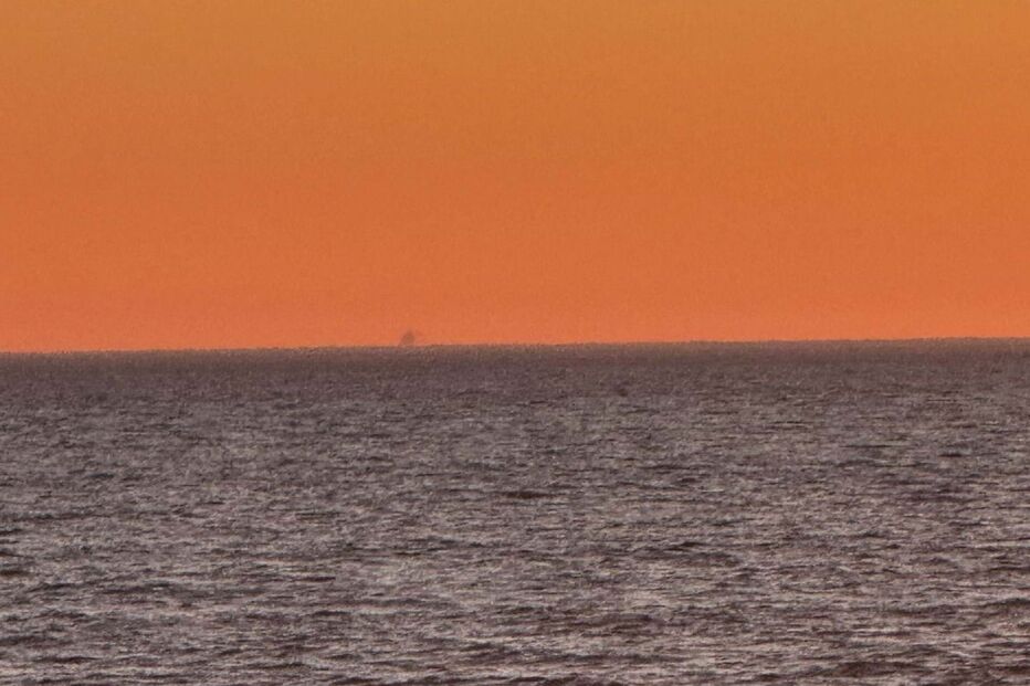 Francisco, filho de João Reis