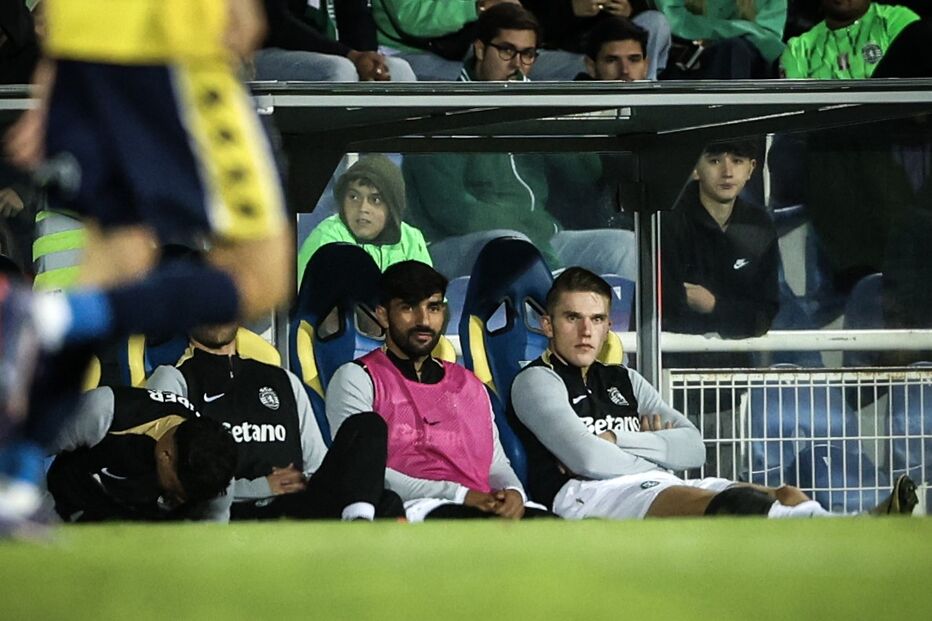 Imagem LMN_9567 COPY.jpg (22551136) (Milenium)