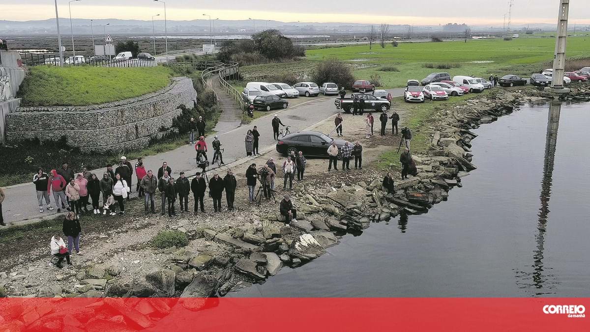 "Foi um ano de muito sofrimento e revolta": Tia da grávida da Murtosa não desiste de procurar sobrinha