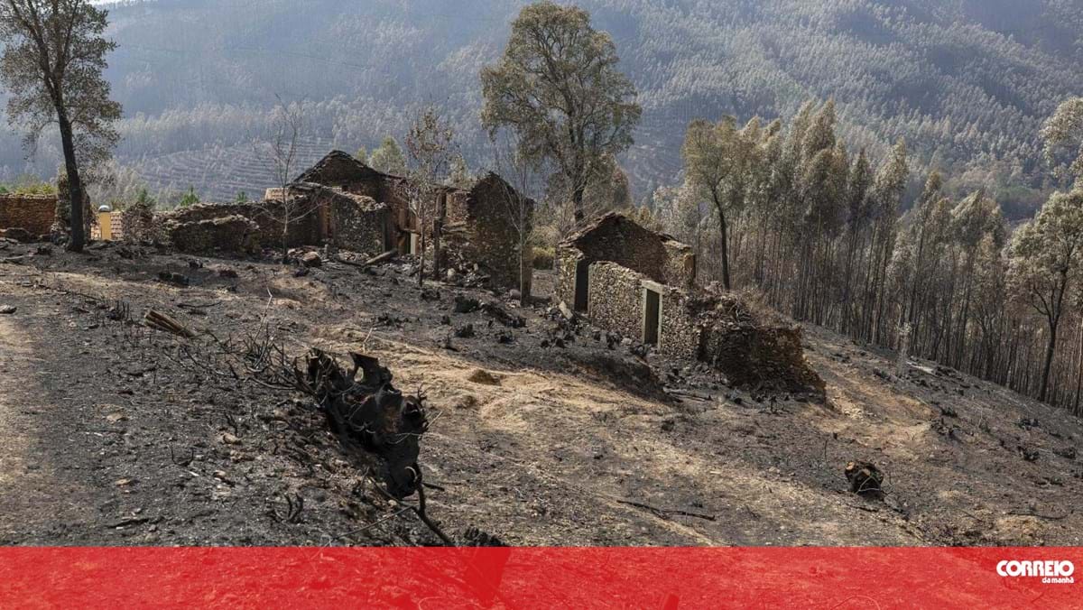 Prejuízos provocados pelos incêndios em Sever do Vouga rondaram 18 milhões de euros