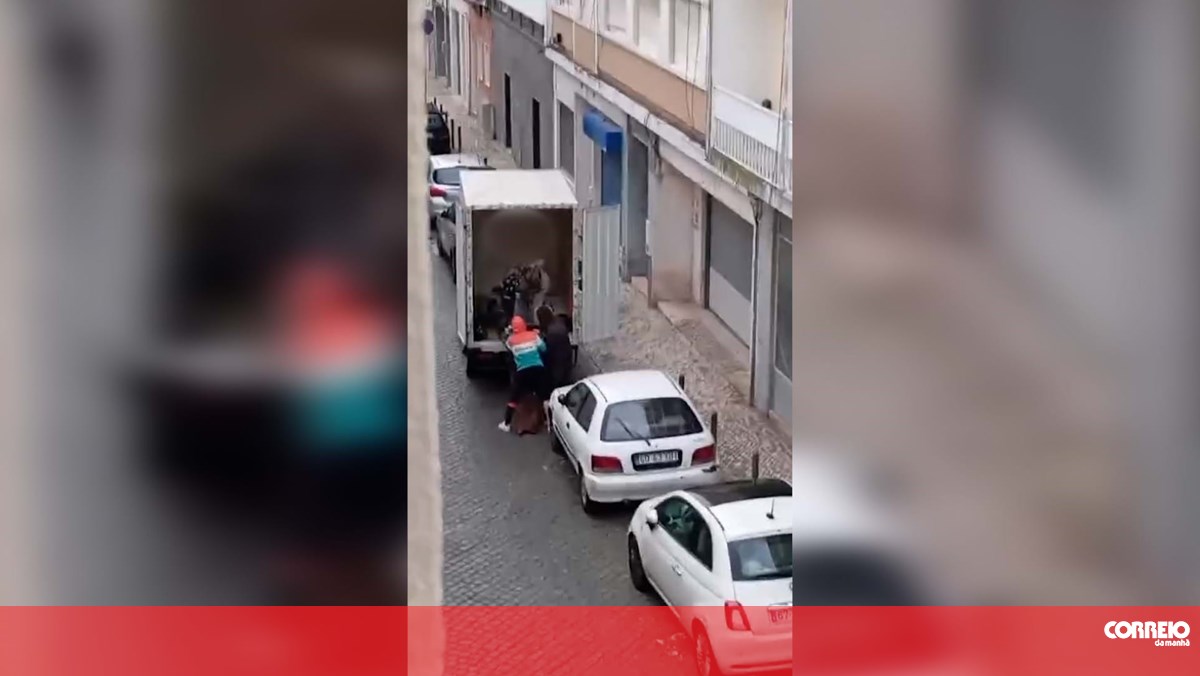 Daylight Motorcycle Heist in Lisbon: Thieves Caught in a Wild Chase