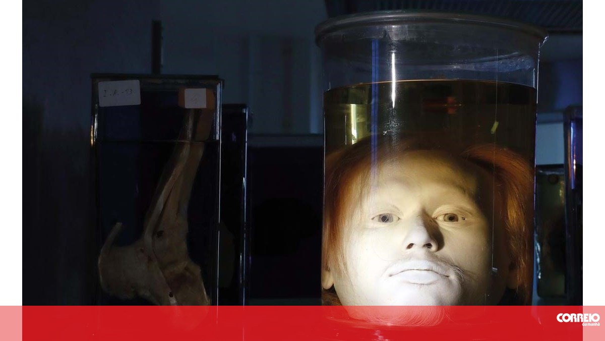 Cabeça do maior assassino português está há quase dois séculos num frasco de formol