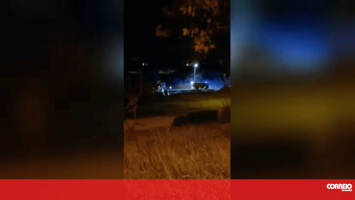 Carrinha cai ao rio após despiste em Tavira