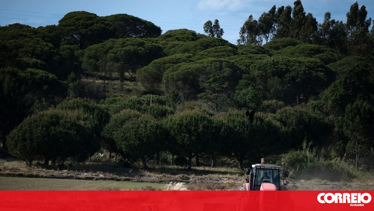 Abertas candidaturas para apoio de 30 milhões de euros para agricultores afetados pelo mau tempo