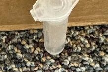 2024-10-24_13_09_36 2-26cfb288.jpg