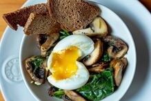 2024-10-25_13_01_22 202410 Cogumelos Bulhão Pato (21).jpg