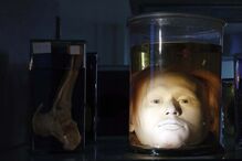 2024-10-26_11_46_32 Capture.JPG