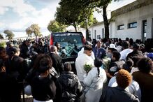 2-53214218.jpg (22808484) (Milenium)