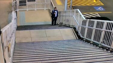 Coala passeia-se por estação de comboios na Austrália