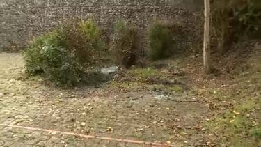 Mulher encontrada carbonizada dentro de viatura em Miranda do Corvo