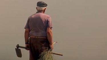 Primeiro-ministro entrega primeiro apoio a agricultores em Penalva do Castelo afetados por incêndios 