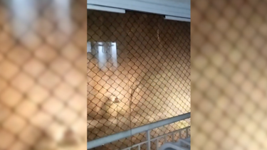 Tempestade após meses de seca severa mata quatro pessoas e provoca apagão em São Paulo