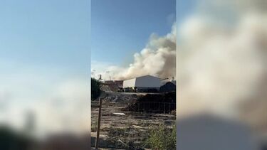 Incêndio deflagra em fábrica de paletes de madeira no concelho de Leiria