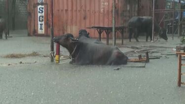 Fortes chuvas no Sri Lanka causam três mortes e inúmeros estragos  