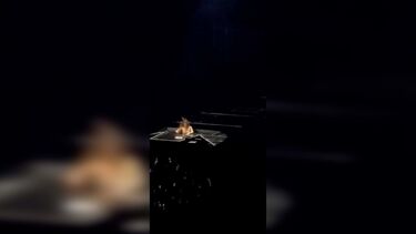 Cantora Olivia Rodrigo cai em palco durante concerto na Austrália 